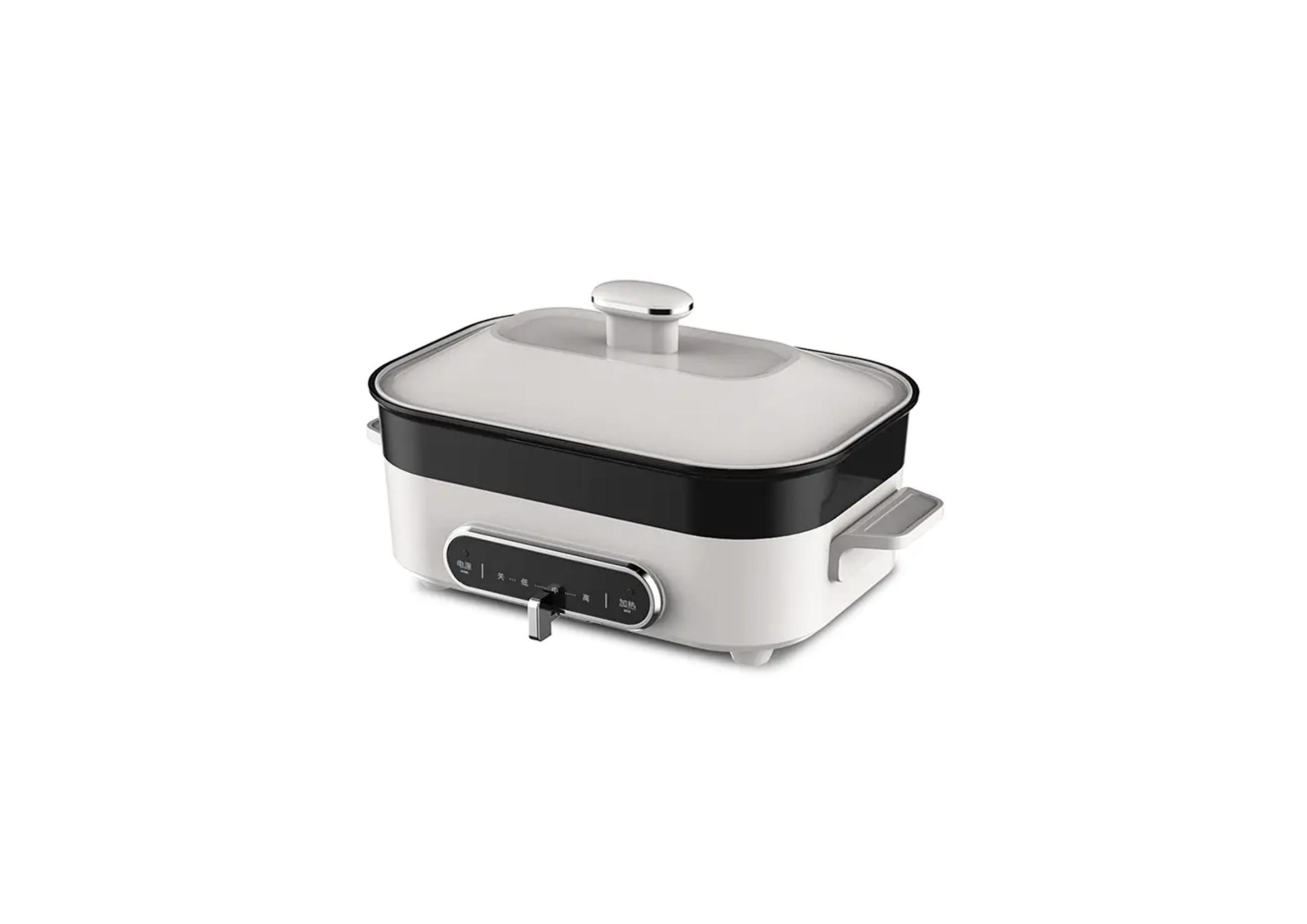 V De Rerum Electric Grills